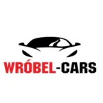 Wróbel-Cars dezynfekcja i czyszczenie klimatyzacji Leszno