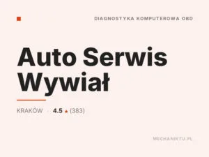 Auto Serwis Wywiał