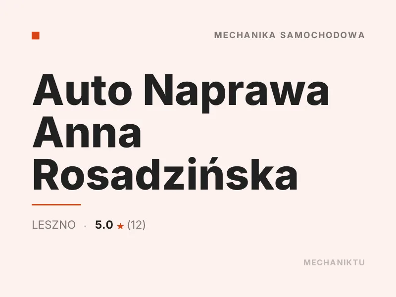 Auto Naprawa Anna Rosadzińska Diagnostyka komputerowa OBD Leszno