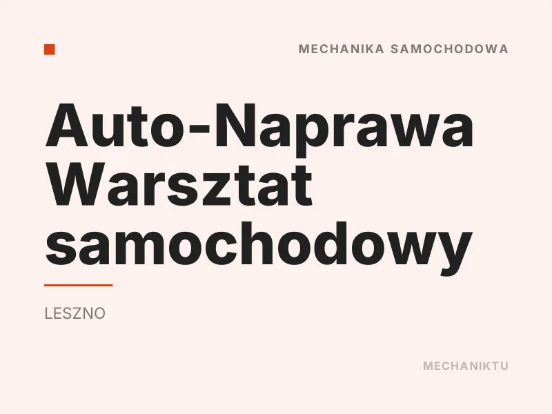 Auto-Naprawa Warsztat samochodowy Diagnostyka komputerowa OBD Leszno