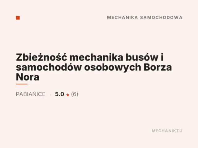 Zbieżność mechanika busów i samochodów osobowych Borza Nora