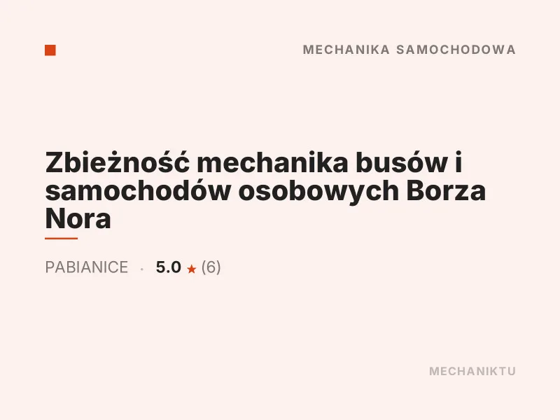 Zbieżność mechanika busów i samochodów osobowych Borza Nora Diagnostyka komputerowa OBD Pabianice