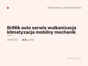 BriNik auto serwis wulkanizacja klimatyzacja mobilny mechanik