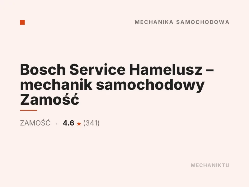 Bosch Service Hamelusz mechanik samochodowy diagnostyka komputerowa OBD Zamość