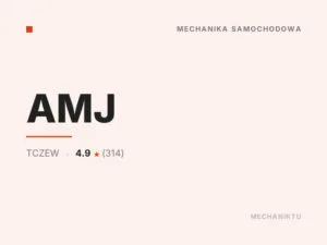 AMJ