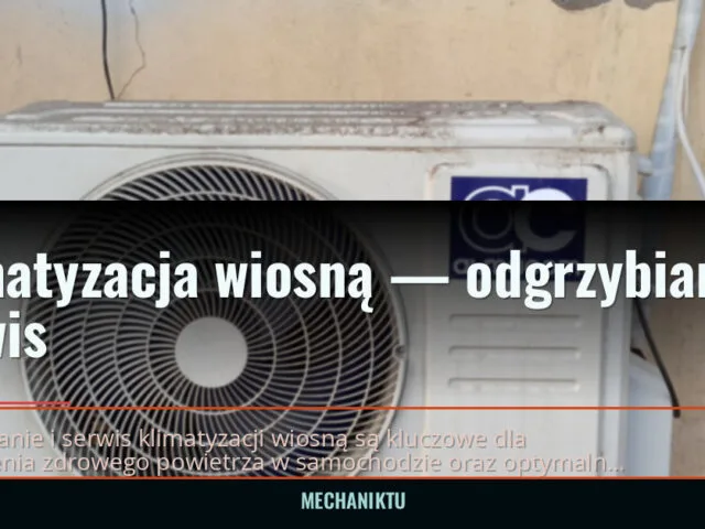 Klimatyzacja wiosną — odgrzybianie i serwis