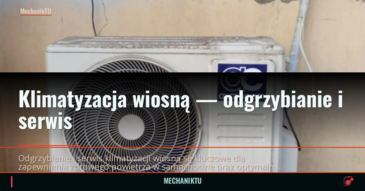 Klimatyzacja wiosną — odgrzybianie i serwis
