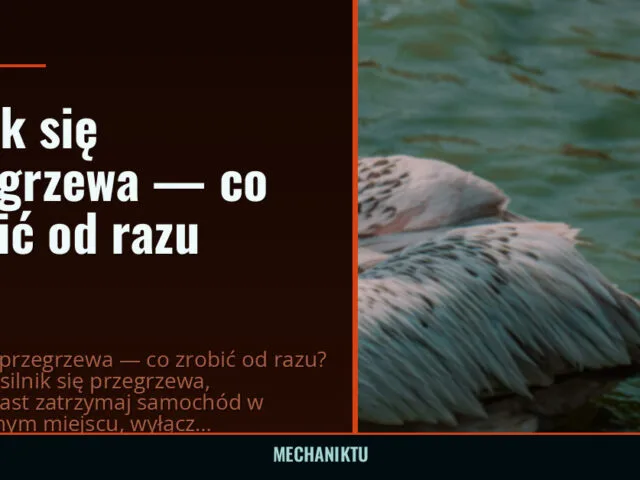 Silnik się przegrzewa — co zrobić od razu — mechaniktu.pl