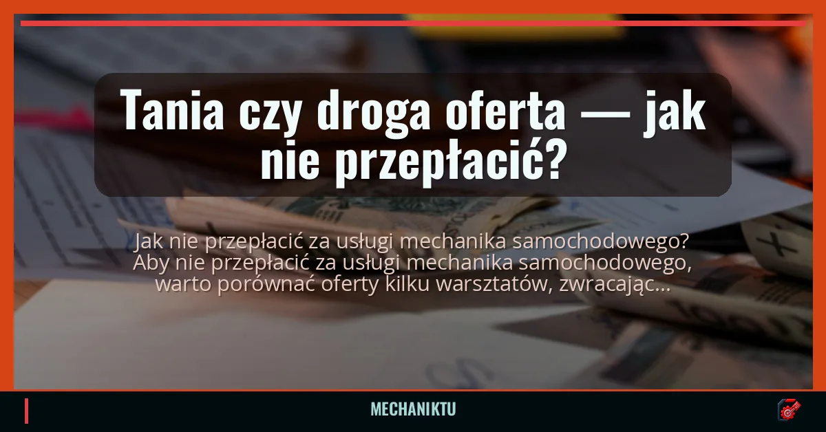 Tania czy droga oferta — jak nie przepłacić?