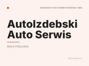 AutoIzdebski Auto Serwis