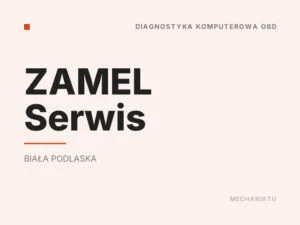 ZAMEL Serwis