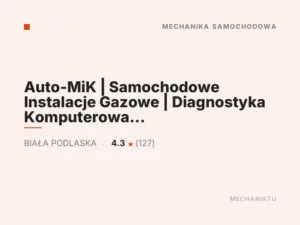 Auto-MiK | Samochodowe Instalacje Gazowe | Diagnostyka Komputerowa | Mechanika Pojazdowa | Elektronika | Części Zamienne |