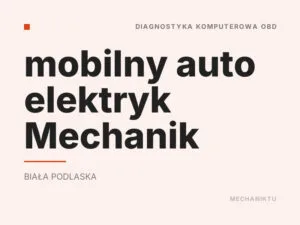 mobilny auto elektryk Mechanik