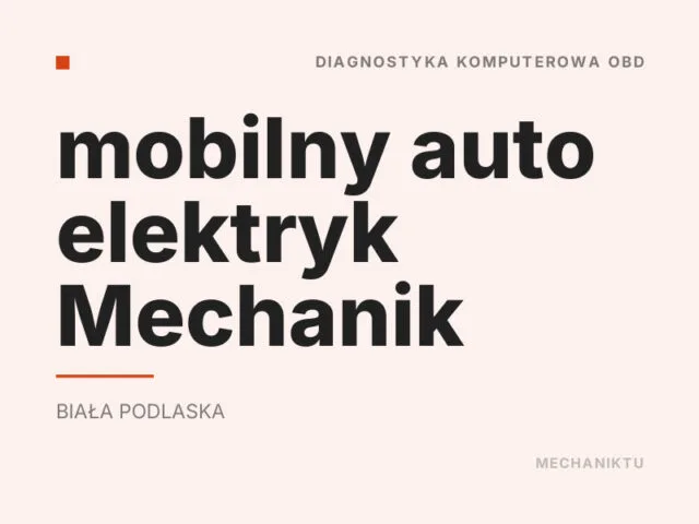 mobilny auto elektryk Mechanik