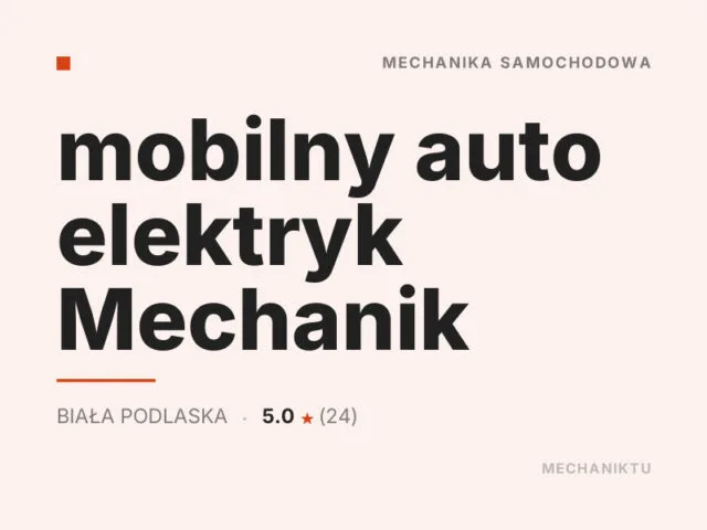 mobilny auto elektryk Mechanik