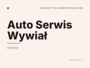 Auto Serwis Wywiał