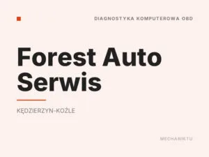 Forest Auto Serwis