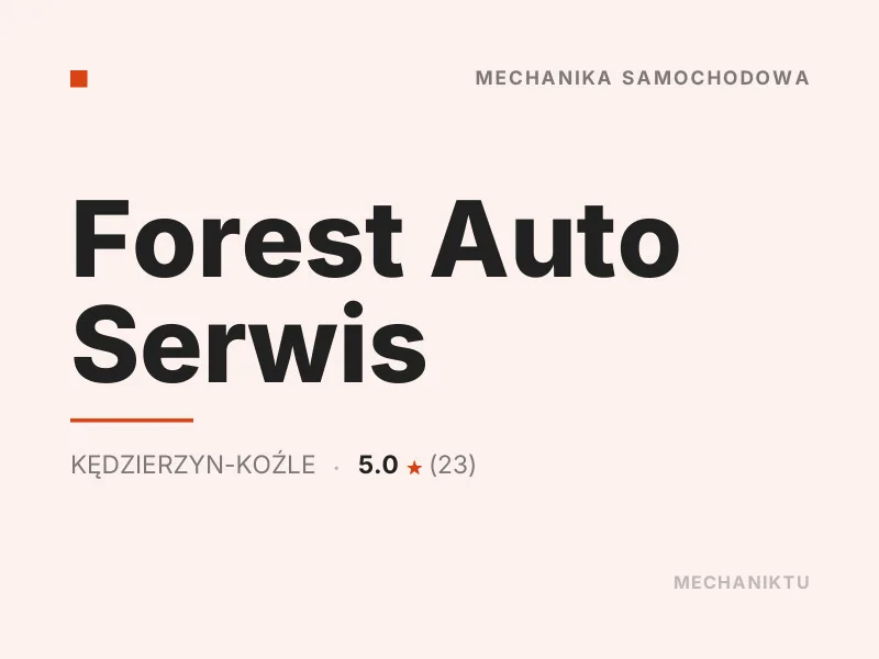 Forest Auto Serwis Diagnostyka komputerowa OBD Kędzierzyn-Koźle