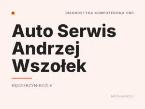 Auto Serwis Andrzej Wszołek