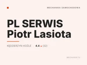 PL SERWIS Piotr Lasiota