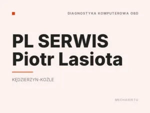 PL SERWIS Piotr Lasiota