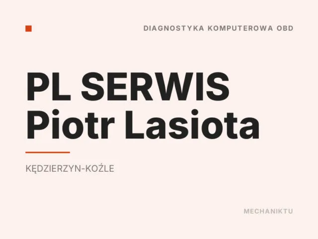 PL SERWIS Piotr Lasiota