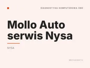 Mollo Auto serwis Nysa