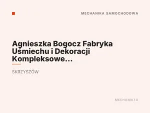 Agnieszka Bogocz Fabryka Uśmiechu i Dekoracji Kompleksowe usługi dekoracji oraz Moto-Stajnia Mechanika Samochodowa