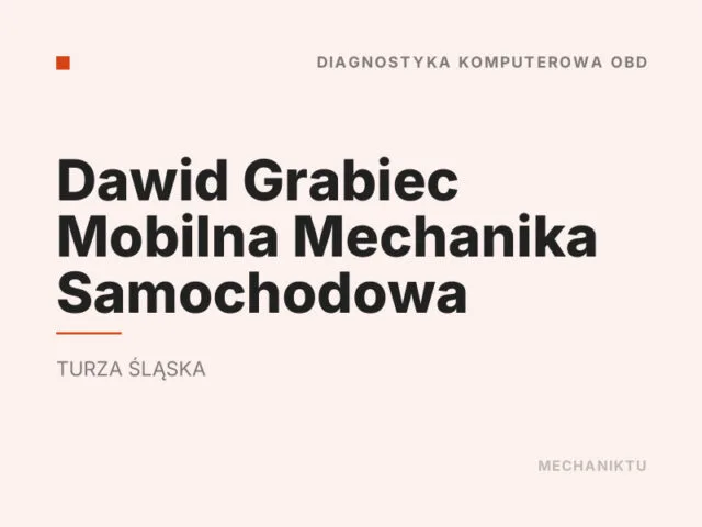 Dawid Grabiec Mobilna Mechanika Samochodowa