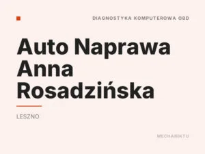 Auto Naprawa Anna Rosadzińska