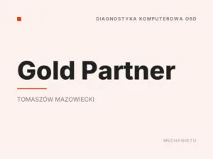 Gold Partner
