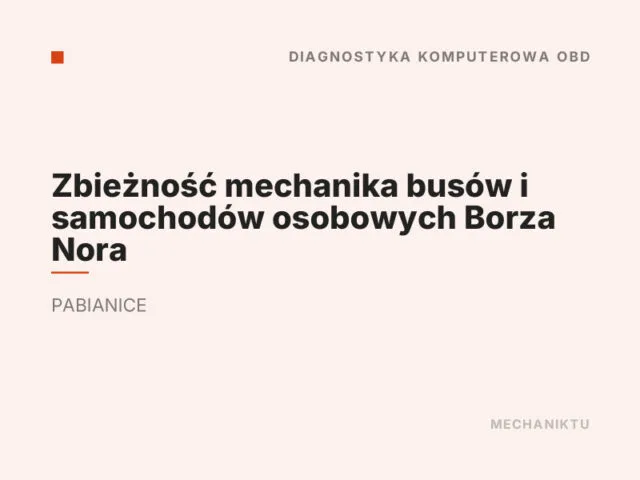 Zbieżność mechanika busów i samochodów osobowych Borza Nora