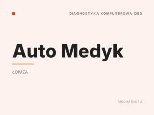 Auto Medyk