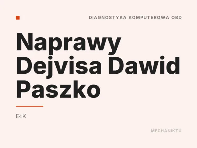 Naprawy Dejvisa Dawid Paszko