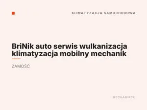 BriNik auto serwis wulkanizacja klimatyzacja mobilny mechanik