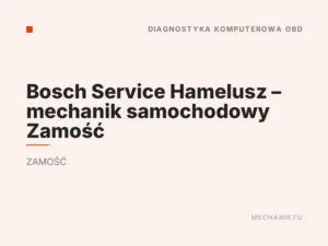 Bosch Service Hamelusz – mechanik samochodowy Zamość