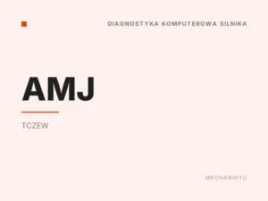 AMJ