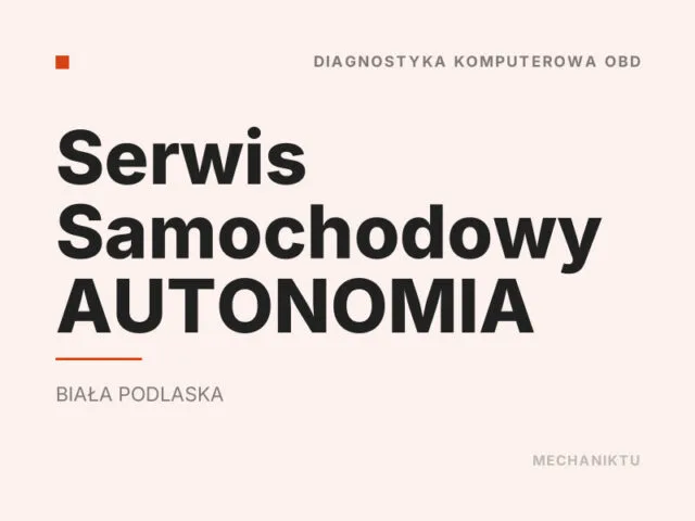 Serwis Samochodowy AUTONOMIA